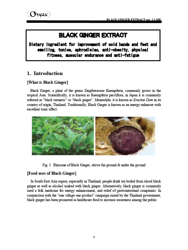 240901-RESEARCH-BLACK-GINGER-02.jpg