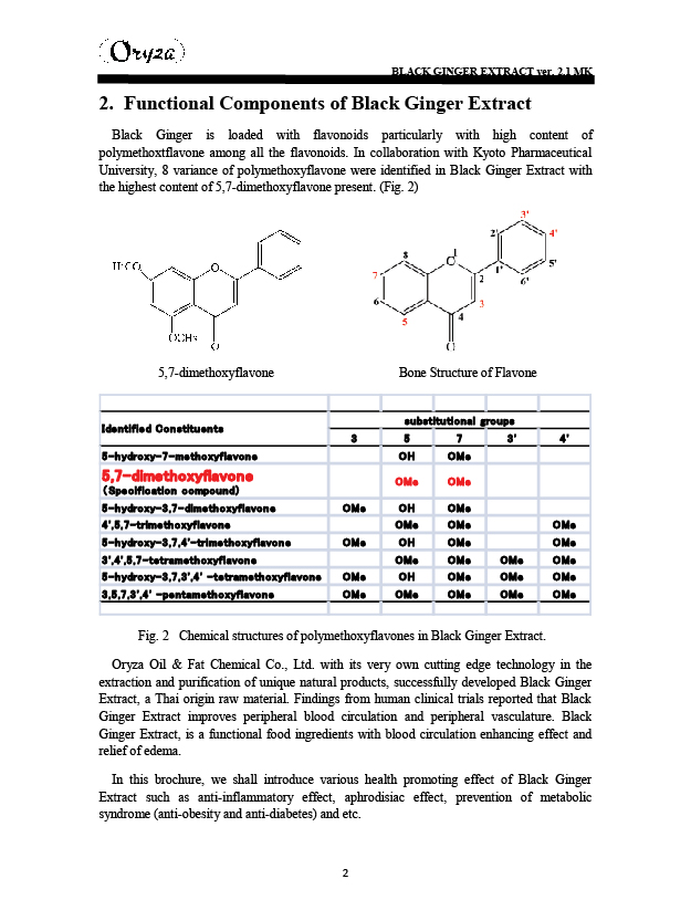 240901-RESEARCH-BLACK-GINGER-03.jpg