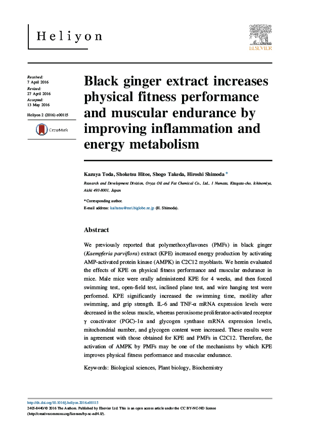 240901-RESEARCH-BLACK-GINGER-04.jpg